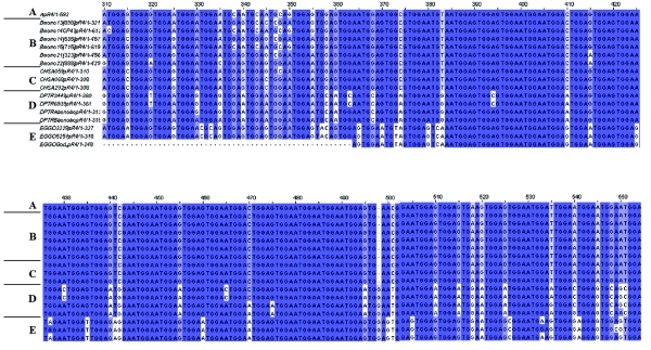 Figure  2. 