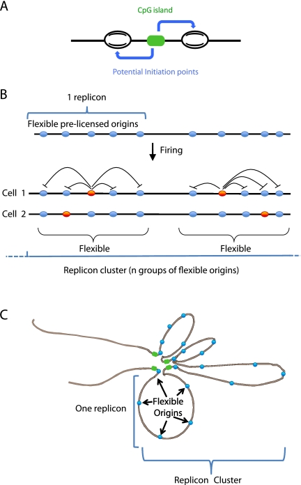 Figure 8.