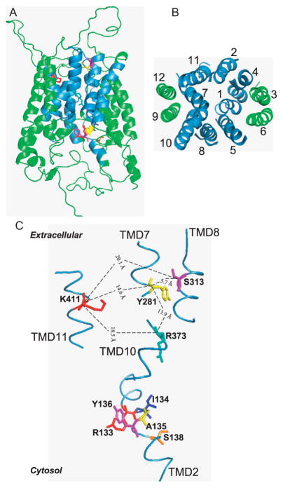 Figure 4.3