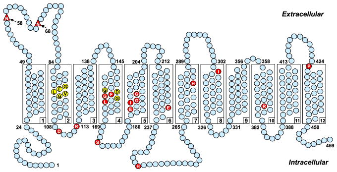 Figure 4.4