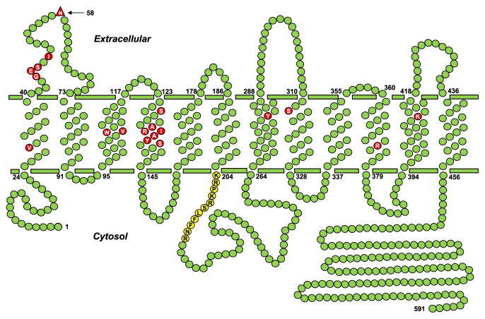 Figure 4.2