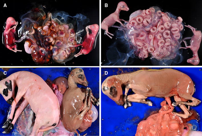 Figure 3