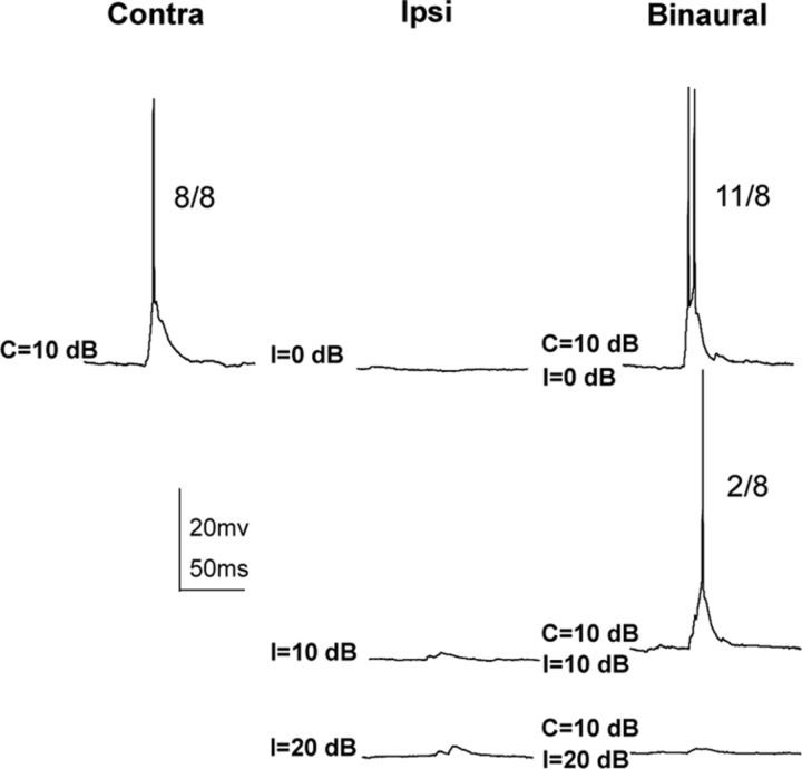 Figure 11.