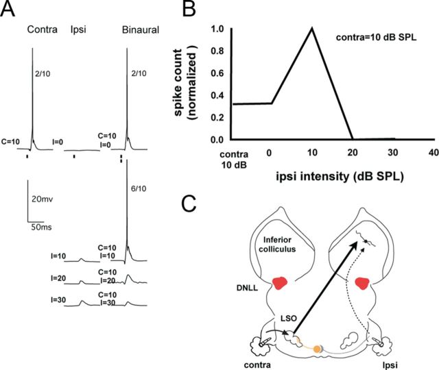 Figure 7.