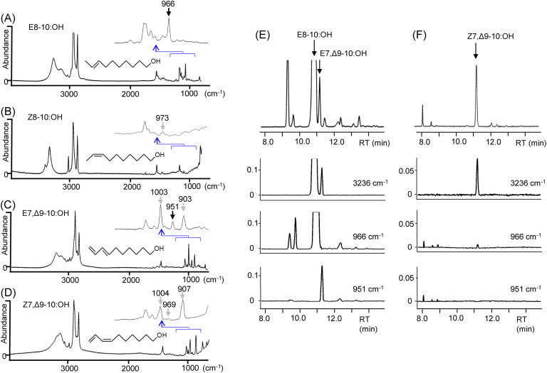 Fig. 4. Infrared spectra obtained by GC/FT-IR of the pheromone components of Monema flavescens, (A) and (C), and synthetic geometric isomers, (B) and (D), and band chromatograms of pheromone extracts; M. flavescens (E) and Parasa lepida (F).