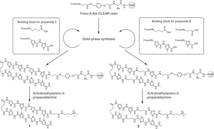 Figure 1.