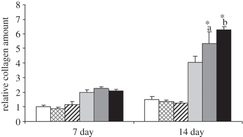 Figure 10.