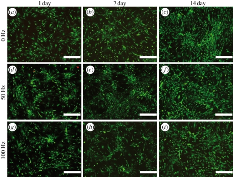 Figure 3.