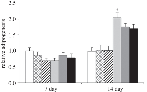 Figure 12.