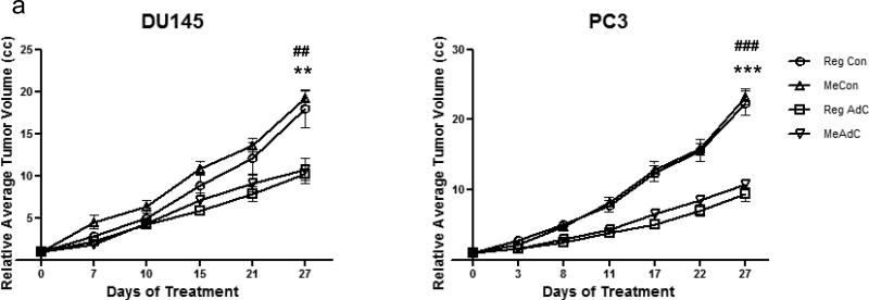 Fig.1