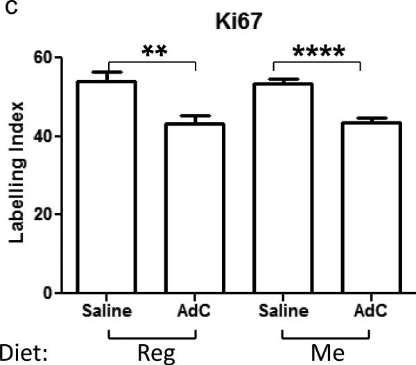 Fig.1