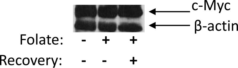 Fig.6