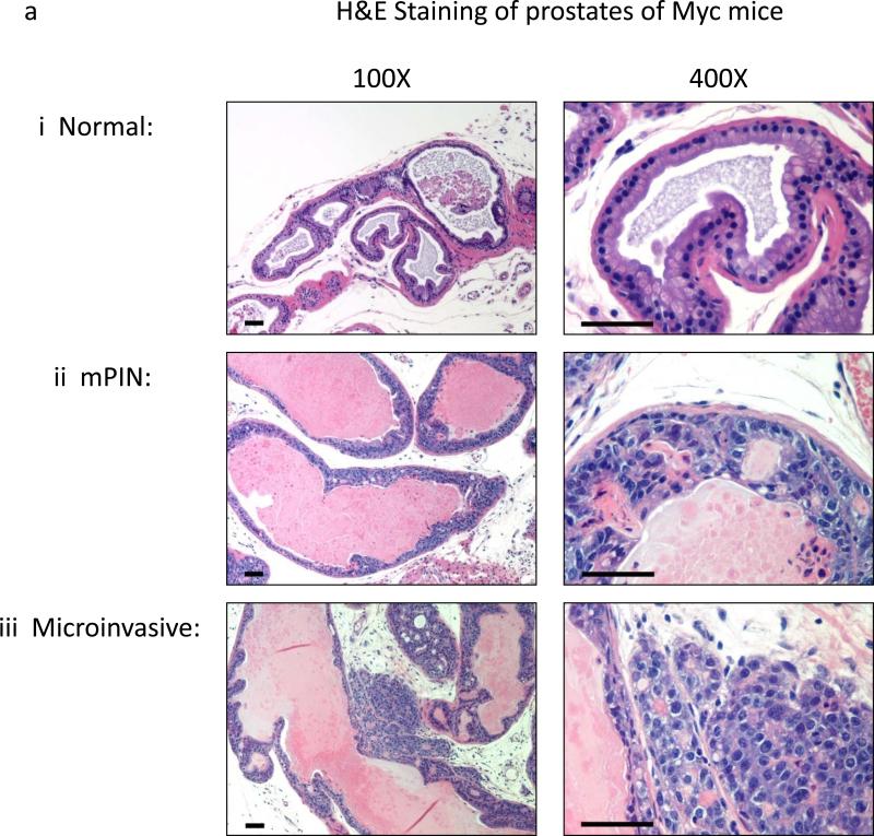 Fig.3