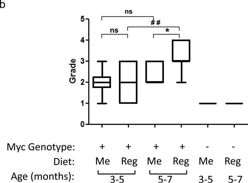 Fig.3