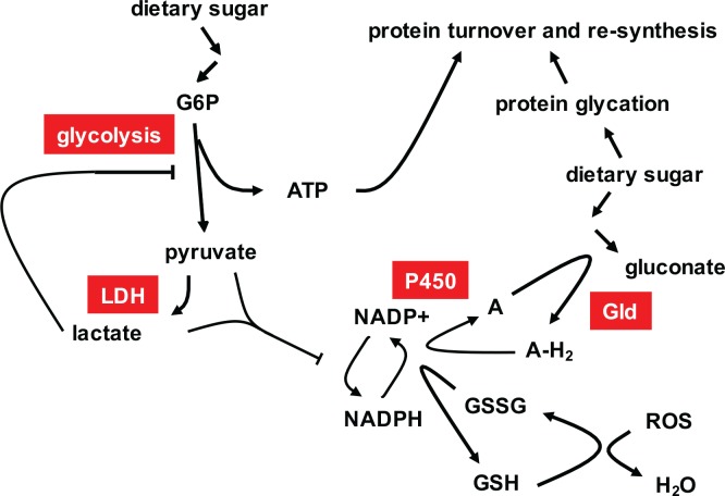 Fig 7