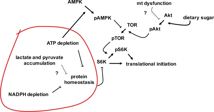 Fig 8