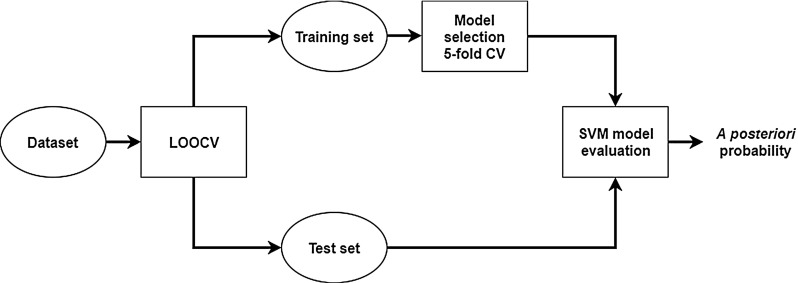 Fig. 4