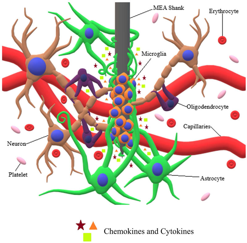 Figure 1: