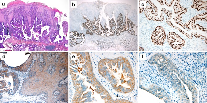 Fig. 2