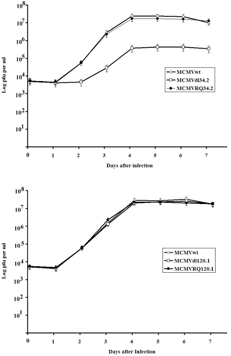 FIG. 6.