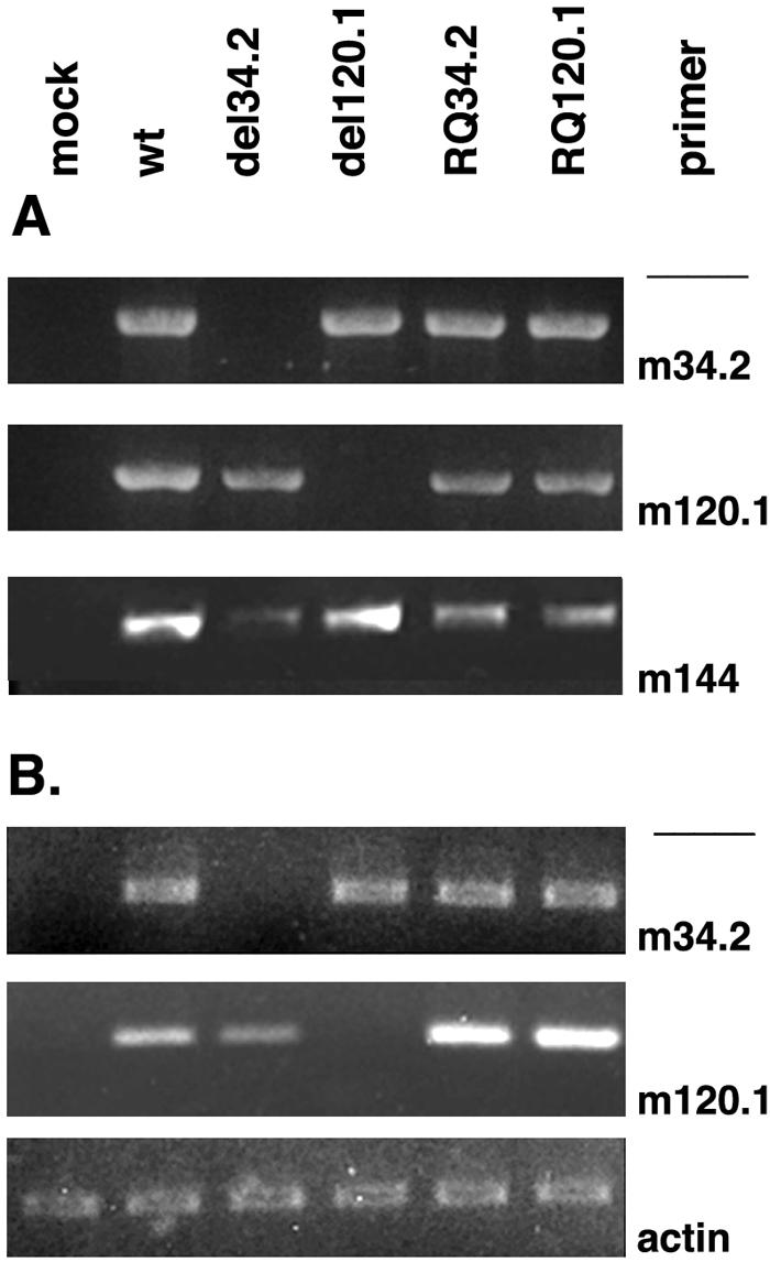 FIG. 5.