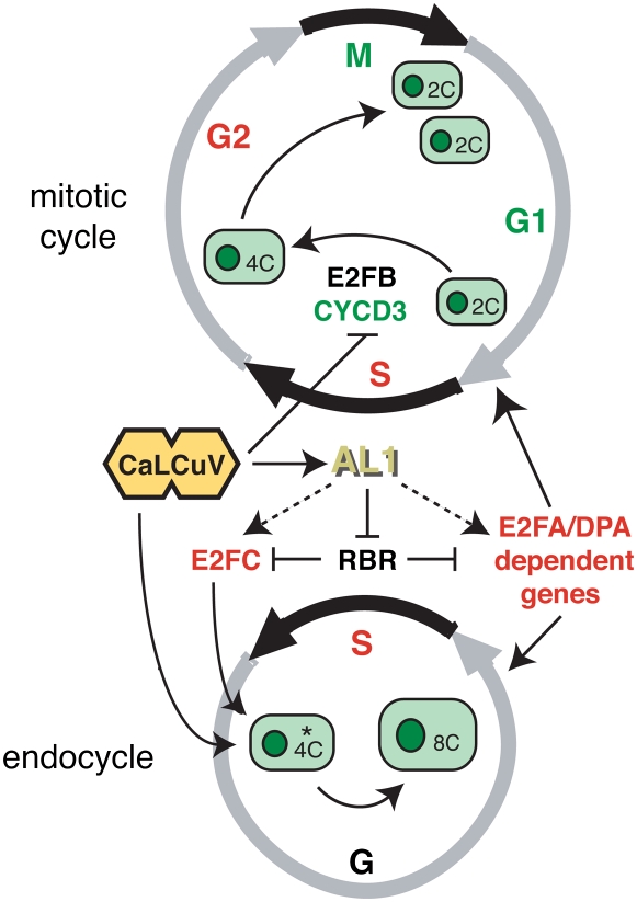 Figure 6.