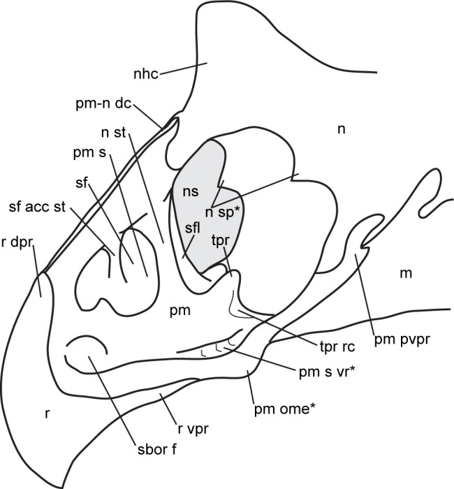 Fig 13