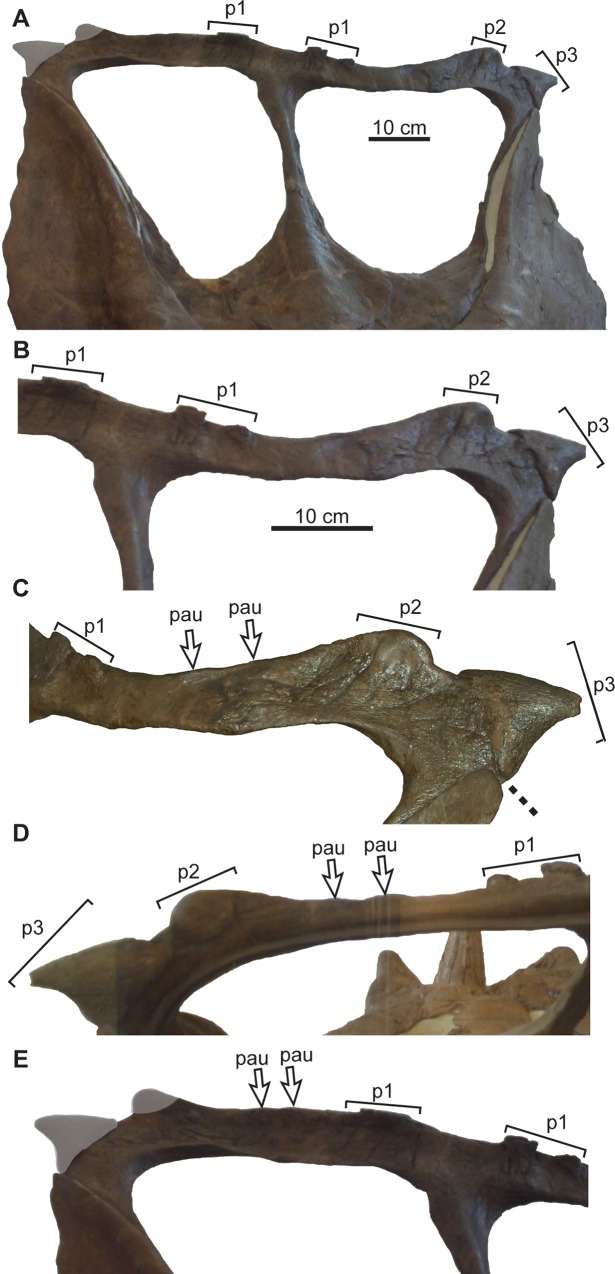 Fig 22