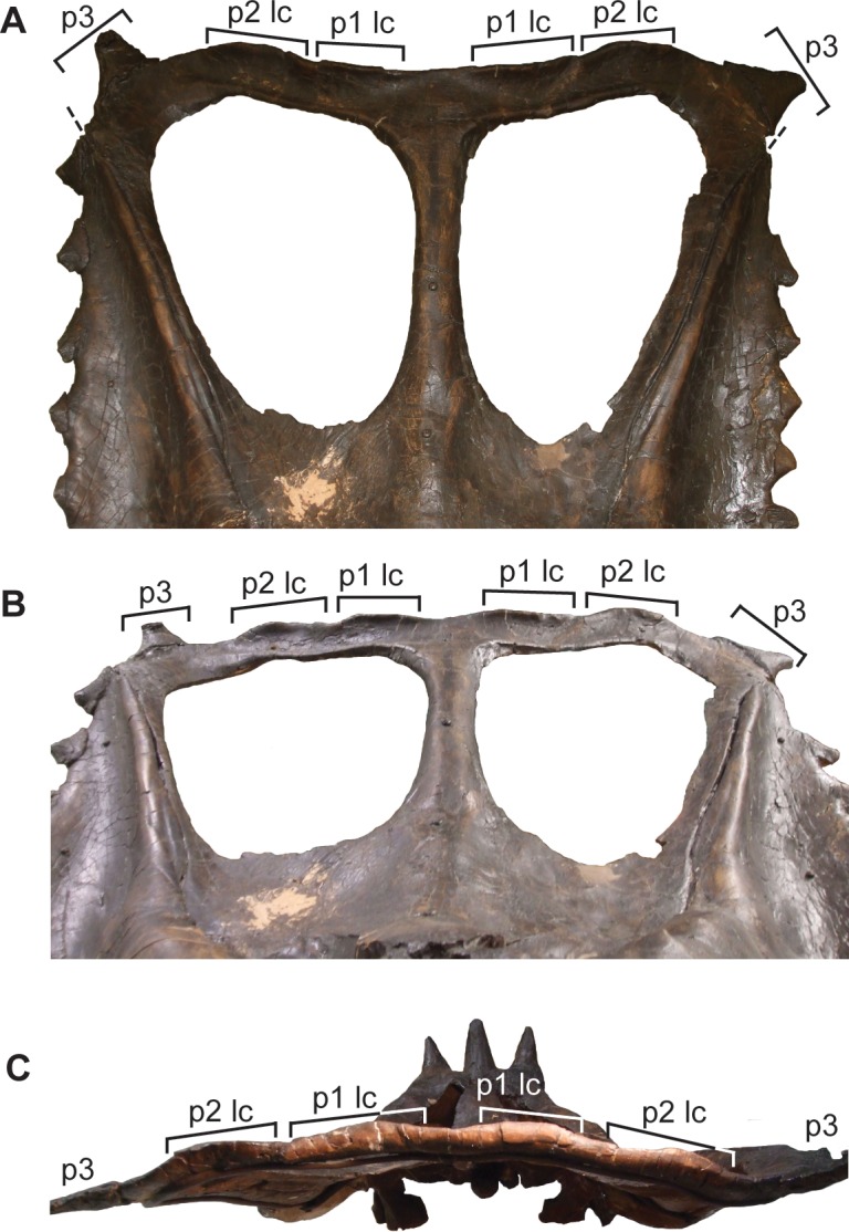 Fig 16