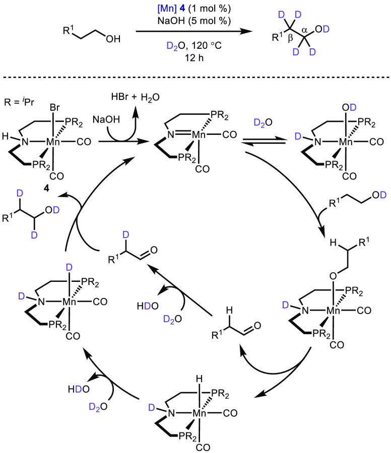 Scheme 20