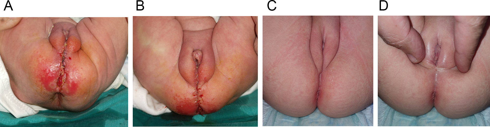 Fig. 7