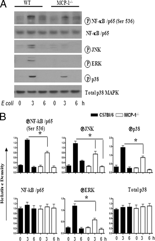 Fig. 9.