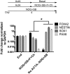 Figure 1—figure supplement 4.
