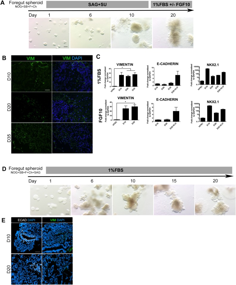 Figure 3—figure supplement 2.