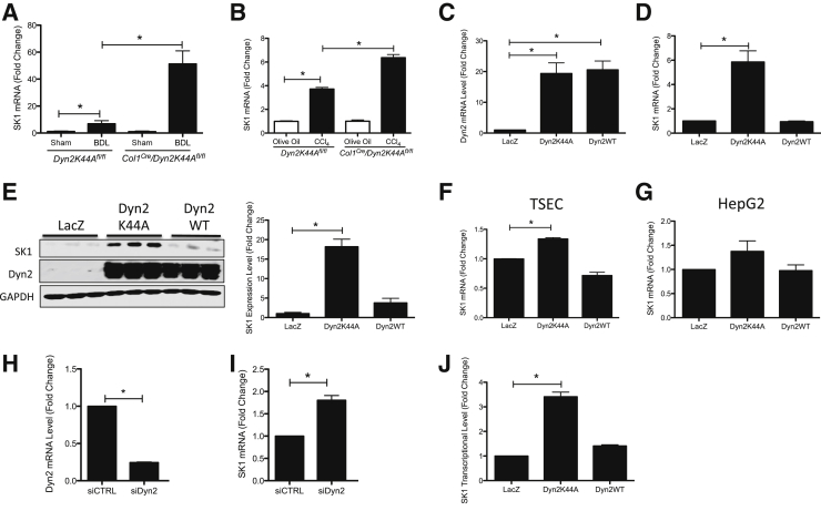 Figure 6