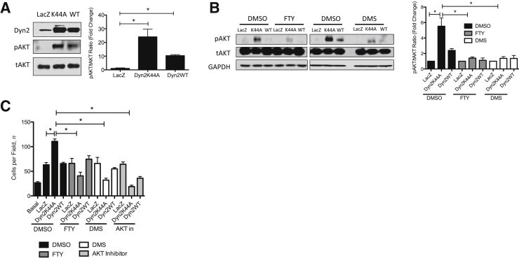 Figure 7