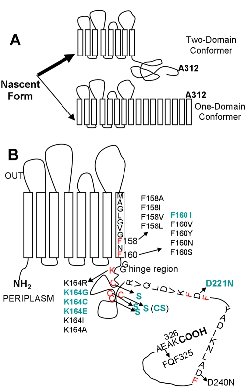 FIG 1 