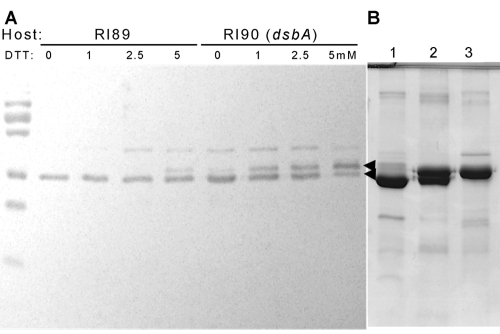 FIG 3 