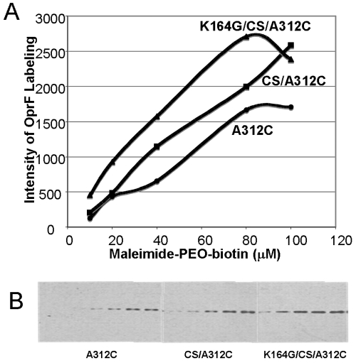 FIG 7 