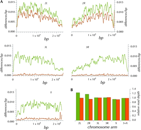 Figure 4.—