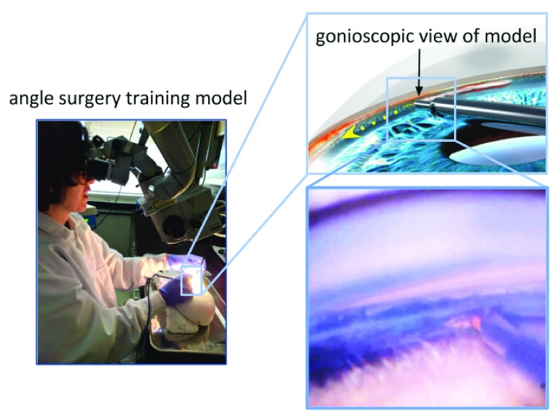 Figure 3. 