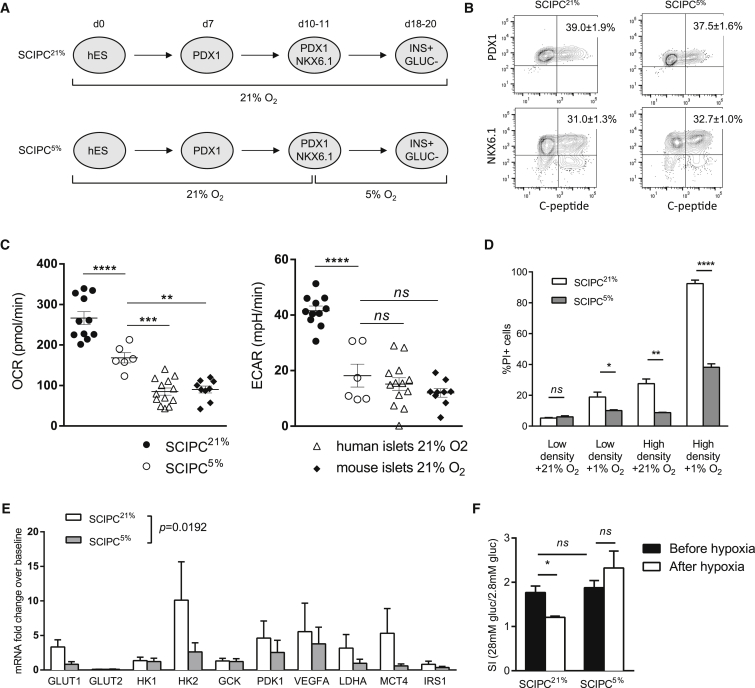 Figure 6