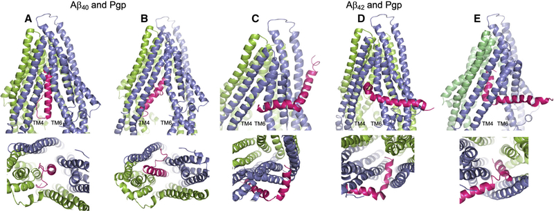 Fig. 2.