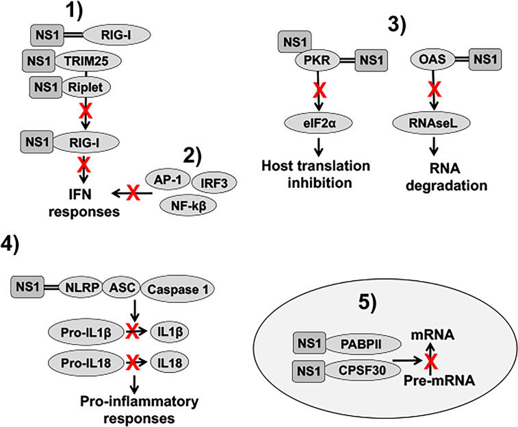 Figure 4