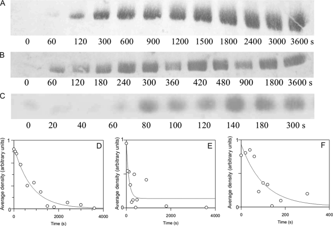 FIGURE 3.