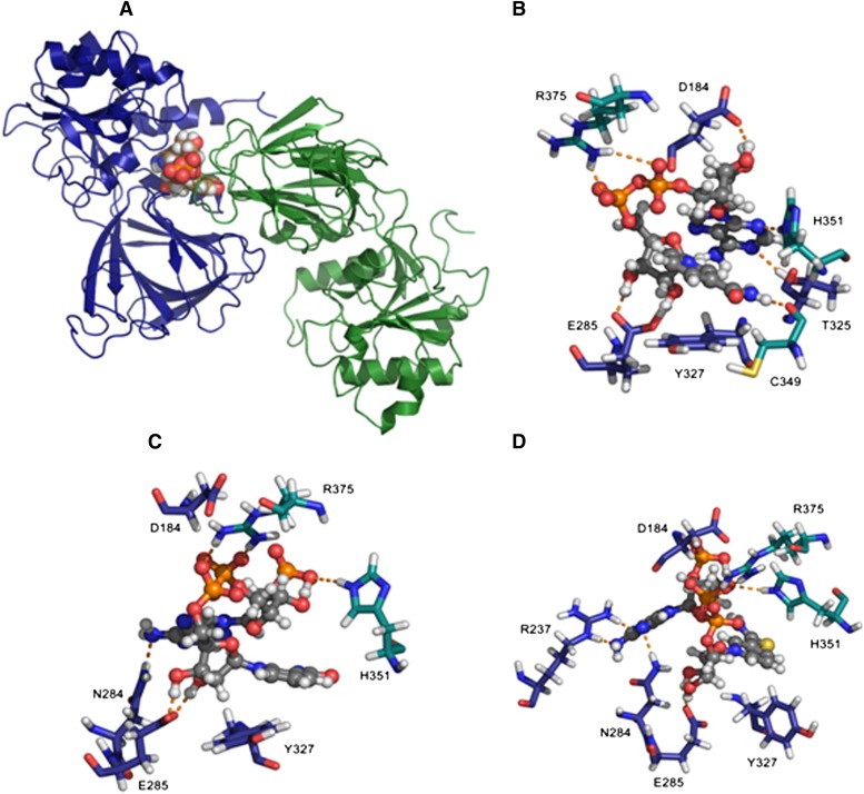 Fig. 7.