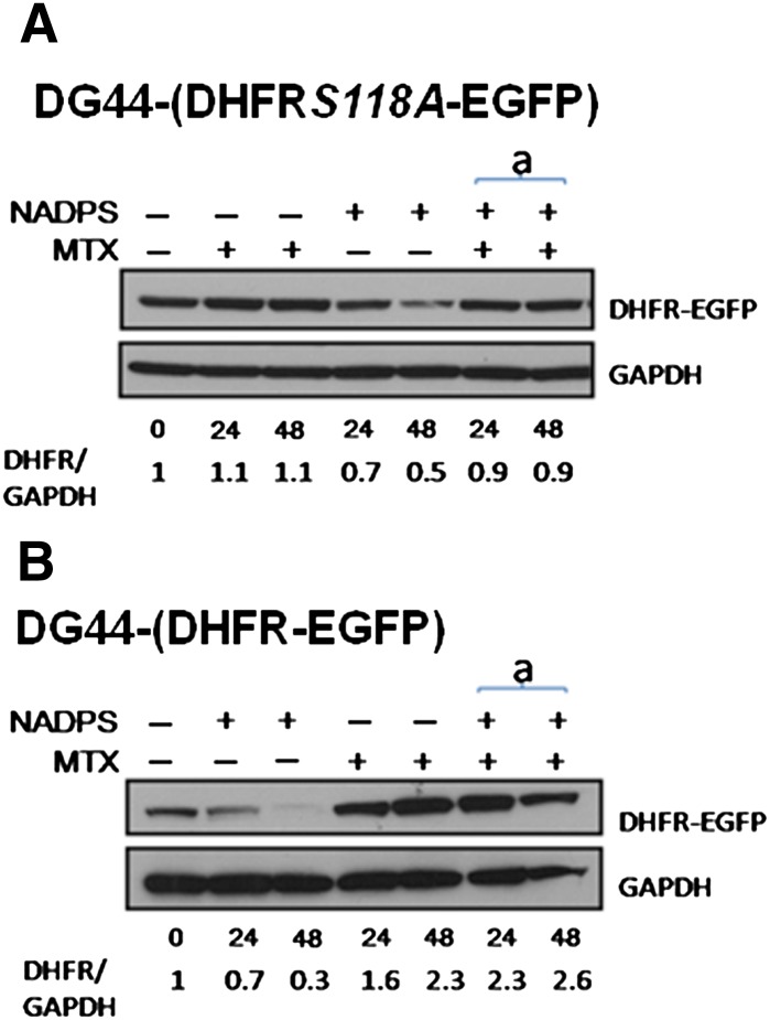 Fig. 8.