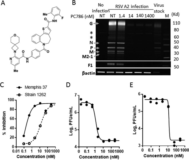 FIG 1