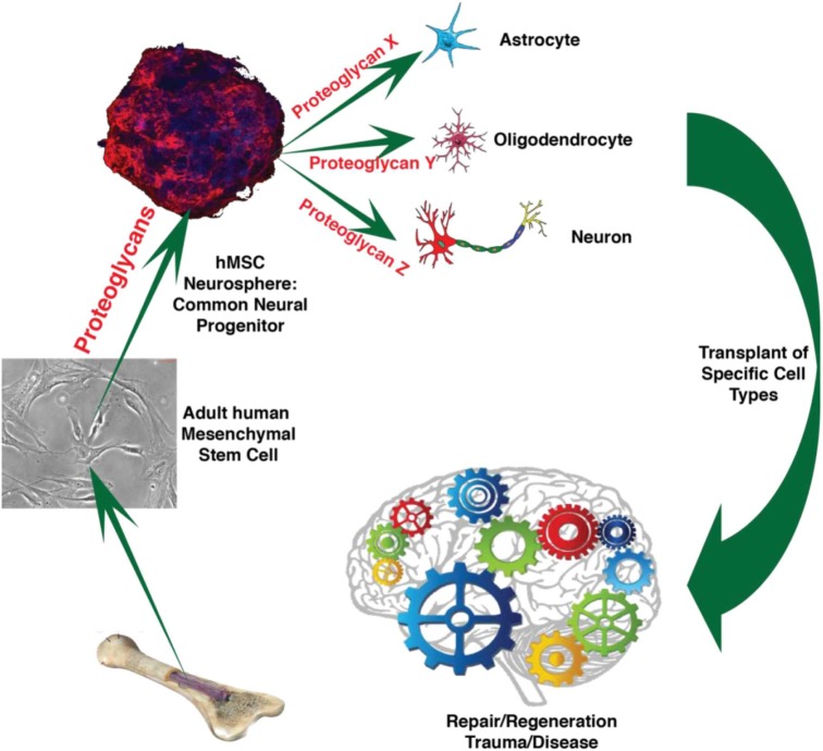 GRAPHICAL ABSTRACT