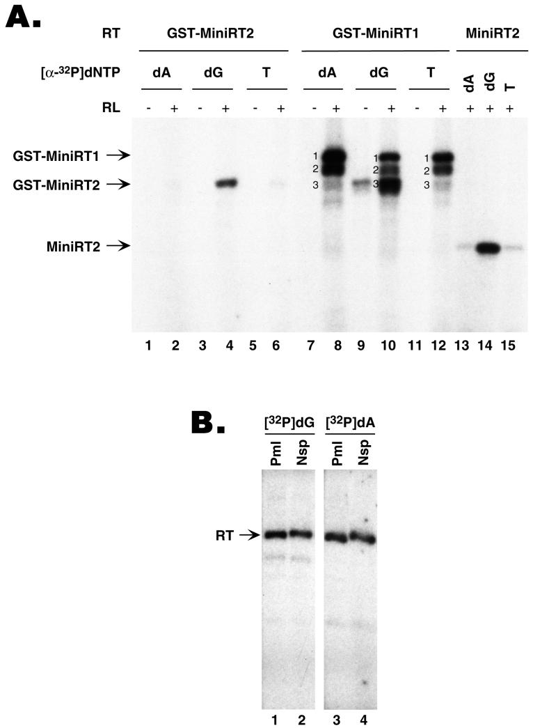 FIG. 1.